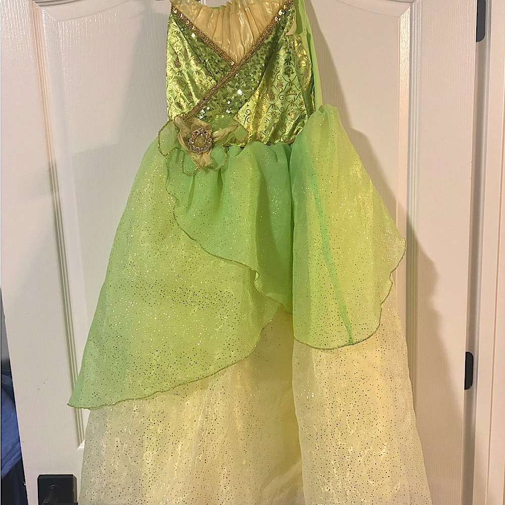 Disney Girls Princess Tiana dress size (9/10)